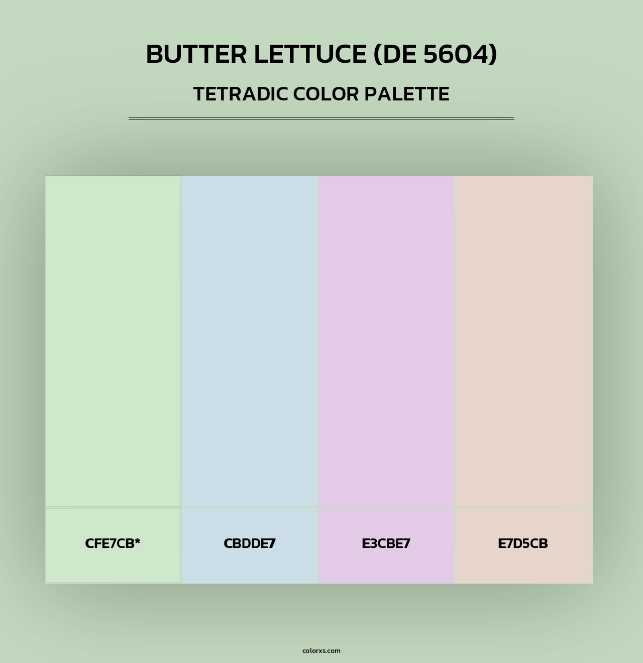 Butter Lettuce (DE 5604) - Tetradic Color Palette