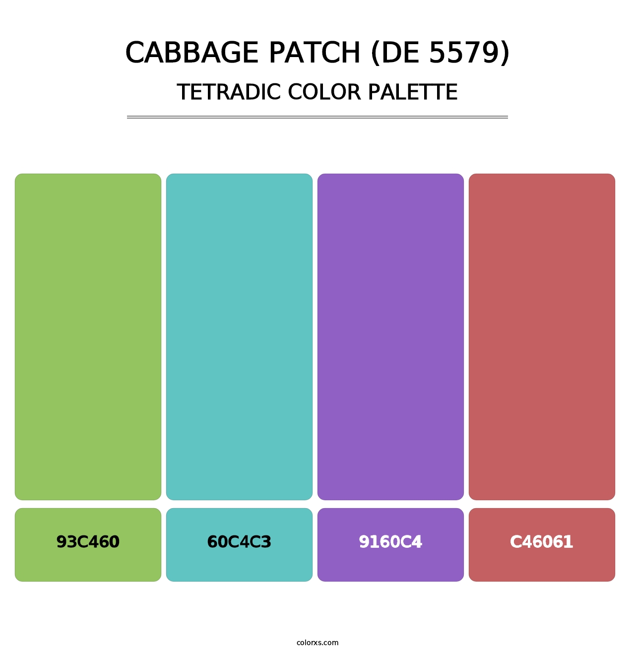 Cabbage Patch (DE 5579) - Tetradic Color Palette