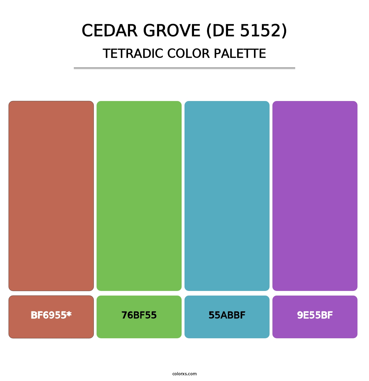 Cedar Grove (DE 5152) - Tetradic Color Palette