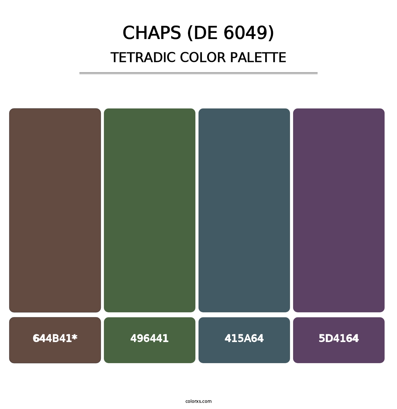 Chaps (DE 6049) - Tetradic Color Palette