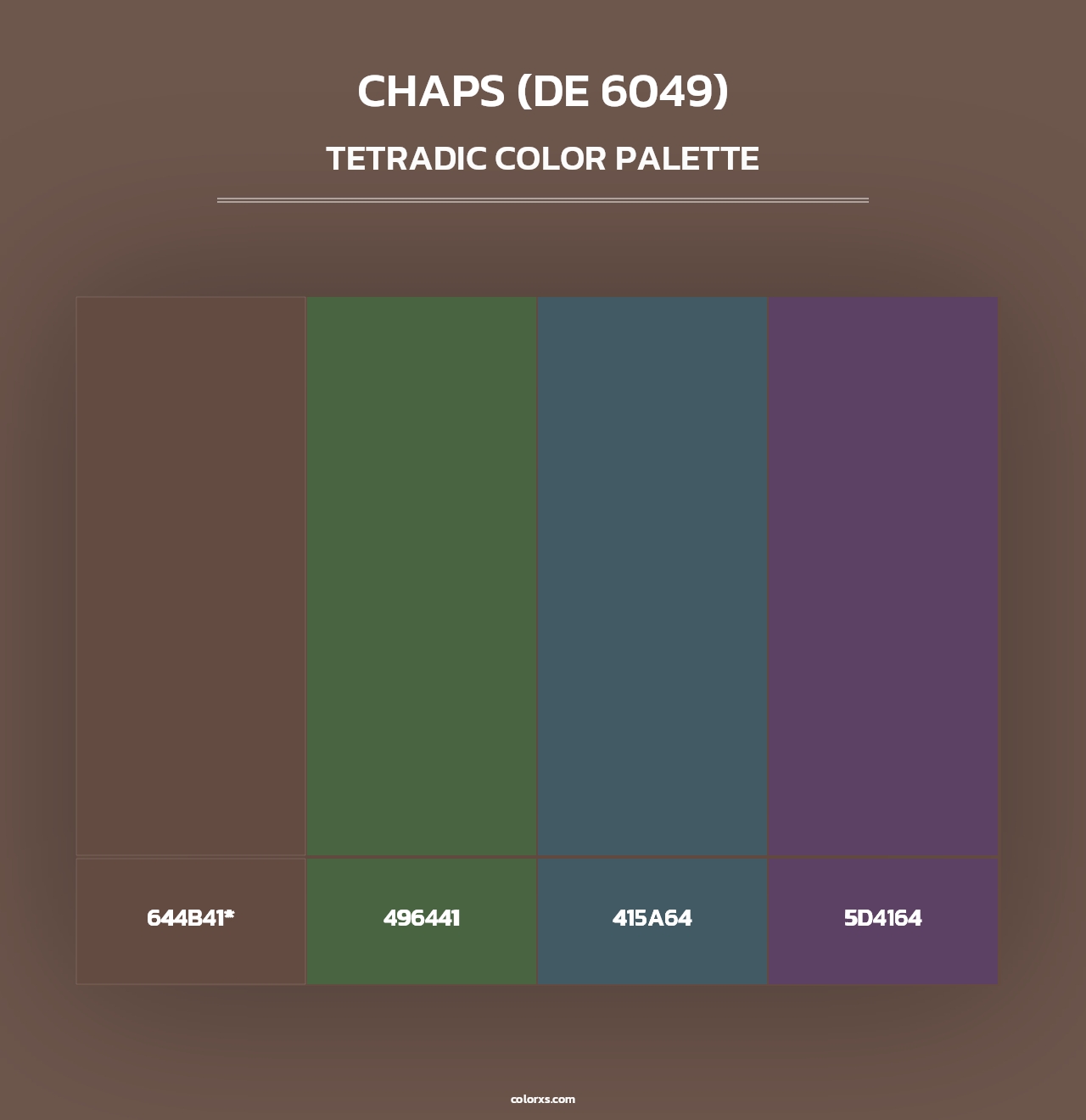 Chaps (DE 6049) - Tetradic Color Palette