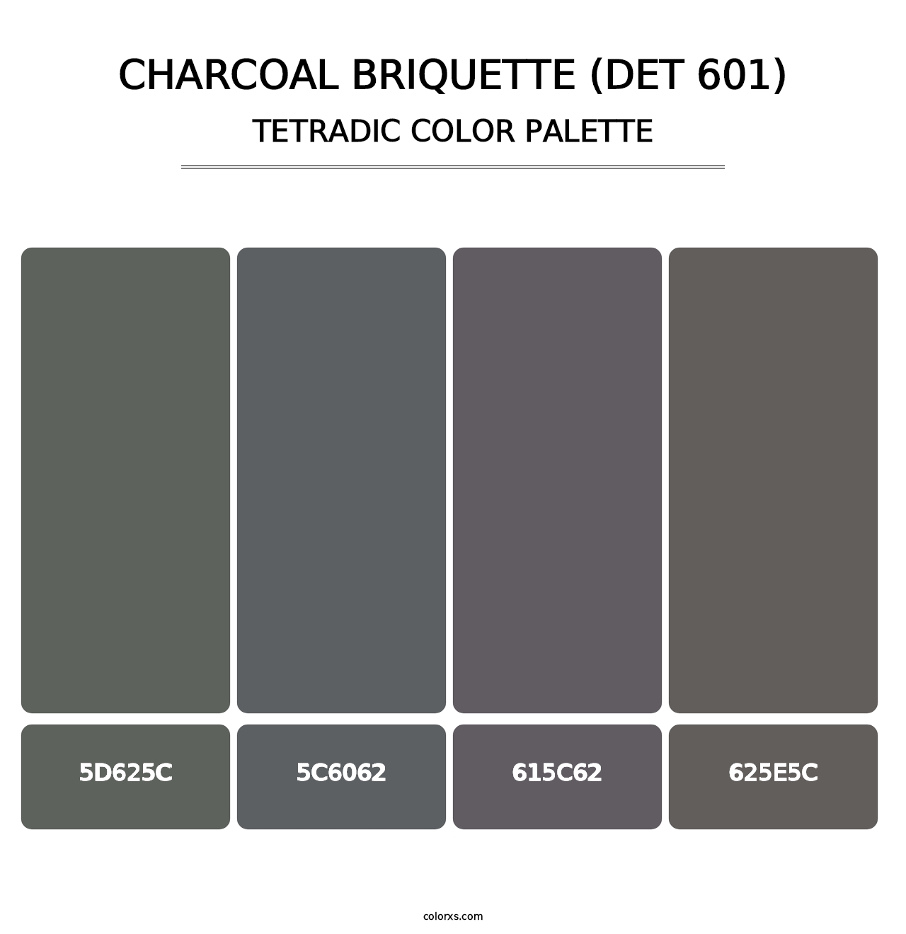 Charcoal Briquette (DET 601) - Tetradic Color Palette