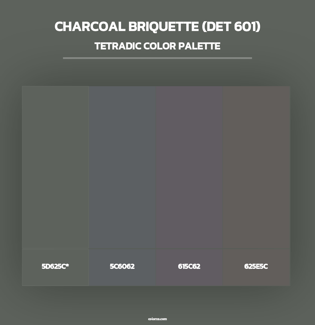 Charcoal Briquette (DET 601) - Tetradic Color Palette