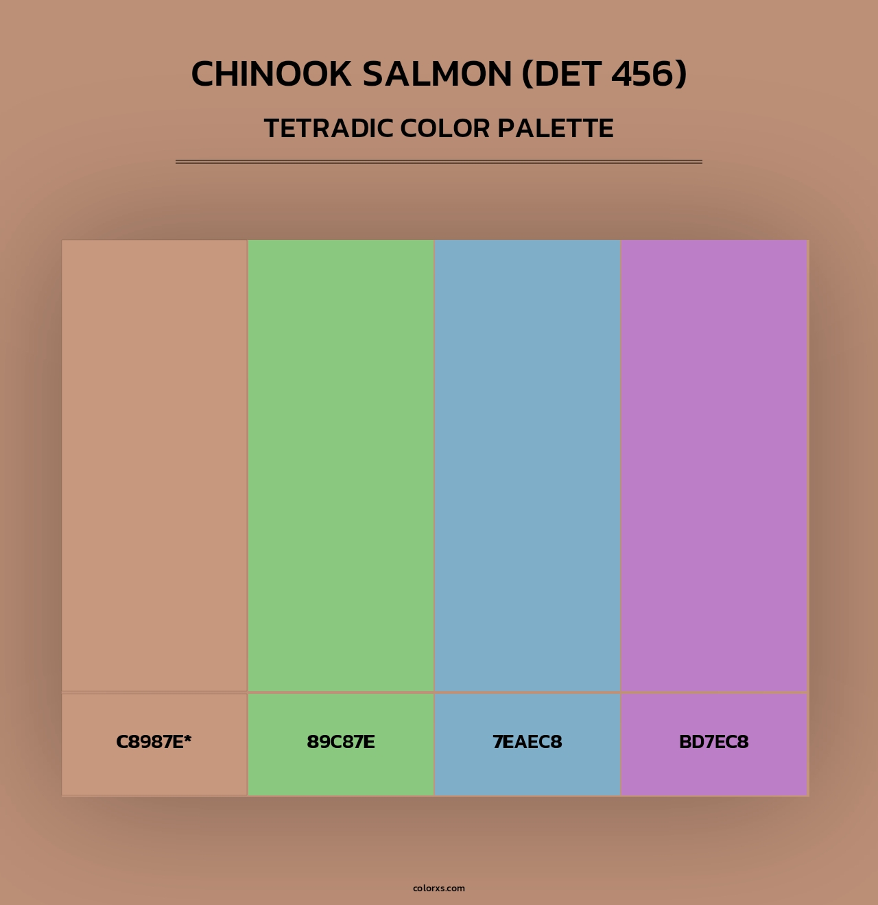 Chinook Salmon (DET 456) - Tetradic Color Palette