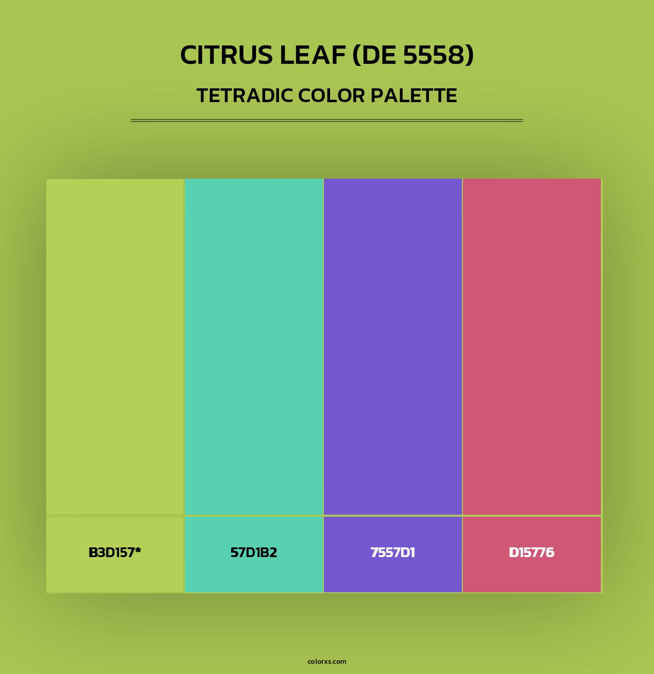 Citrus Leaf (DE 5558) - Tetradic Color Palette