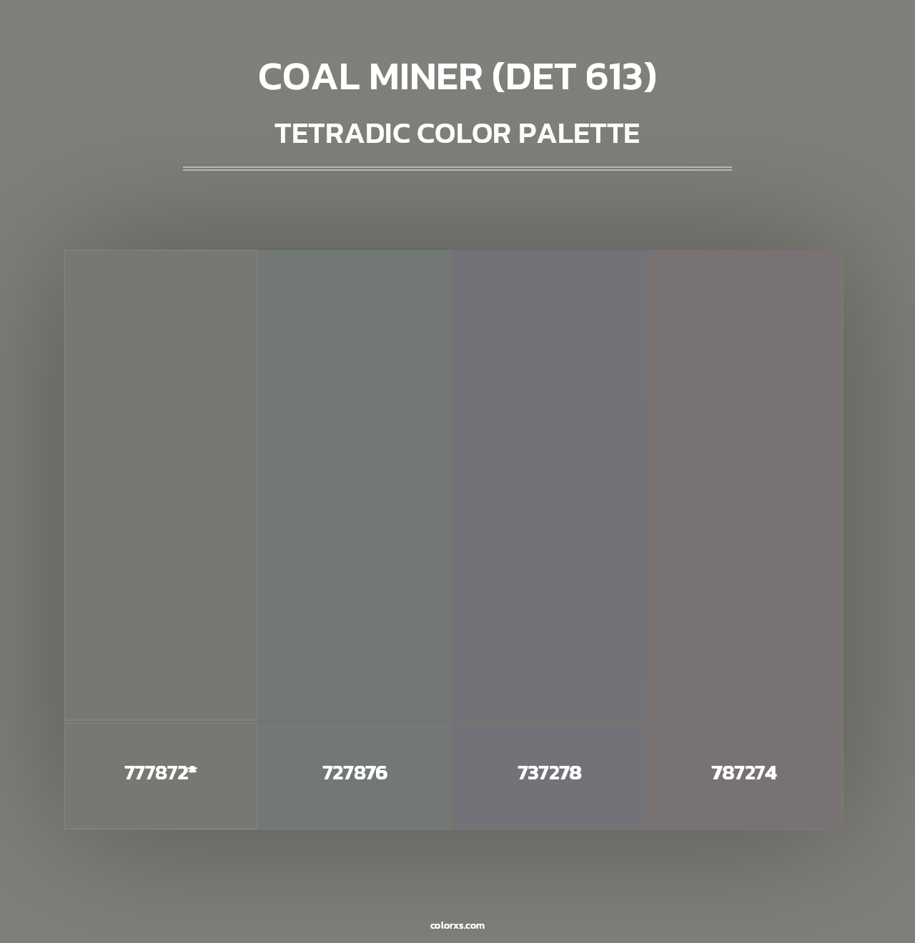 Coal Miner (DET 613) - Tetradic Color Palette