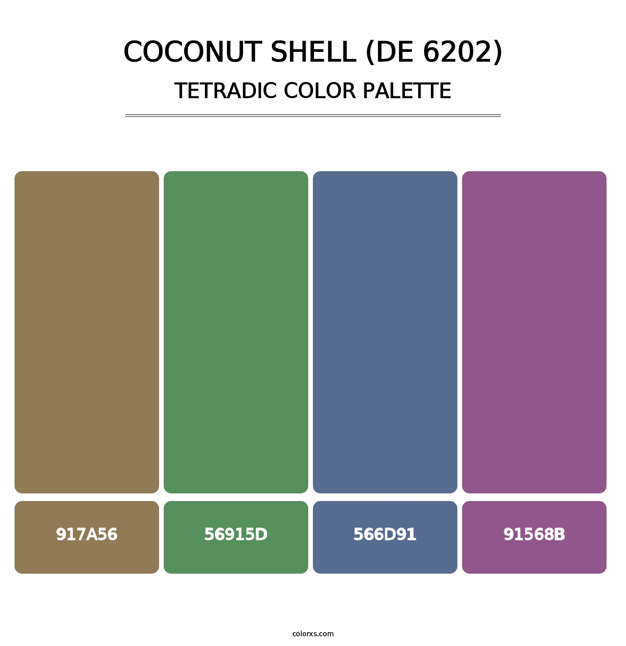 Coconut Shell (DE 6202) - Tetradic Color Palette