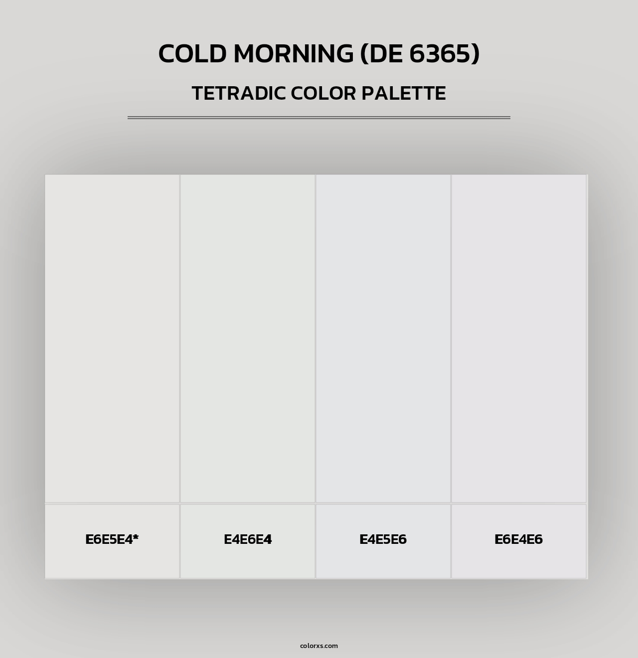 Cold Morning (DE 6365) - Tetradic Color Palette