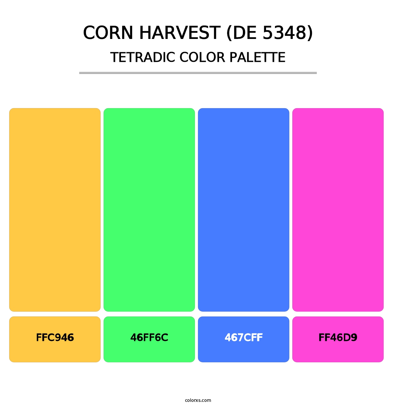 Corn Harvest (DE 5348) - Tetradic Color Palette