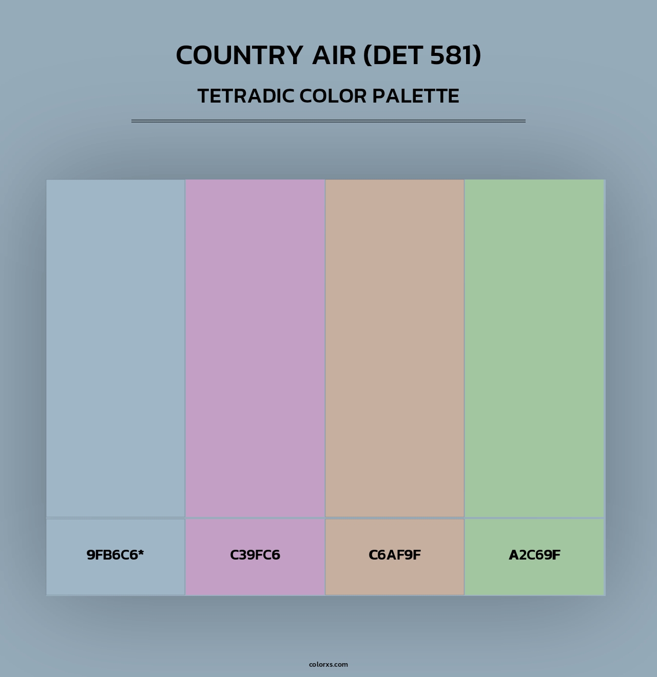 Country Air (DET 581) - Tetradic Color Palette