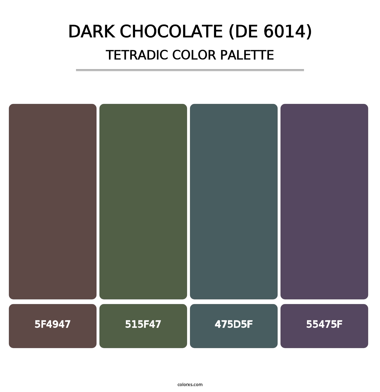 Dark Chocolate (DE 6014) - Tetradic Color Palette