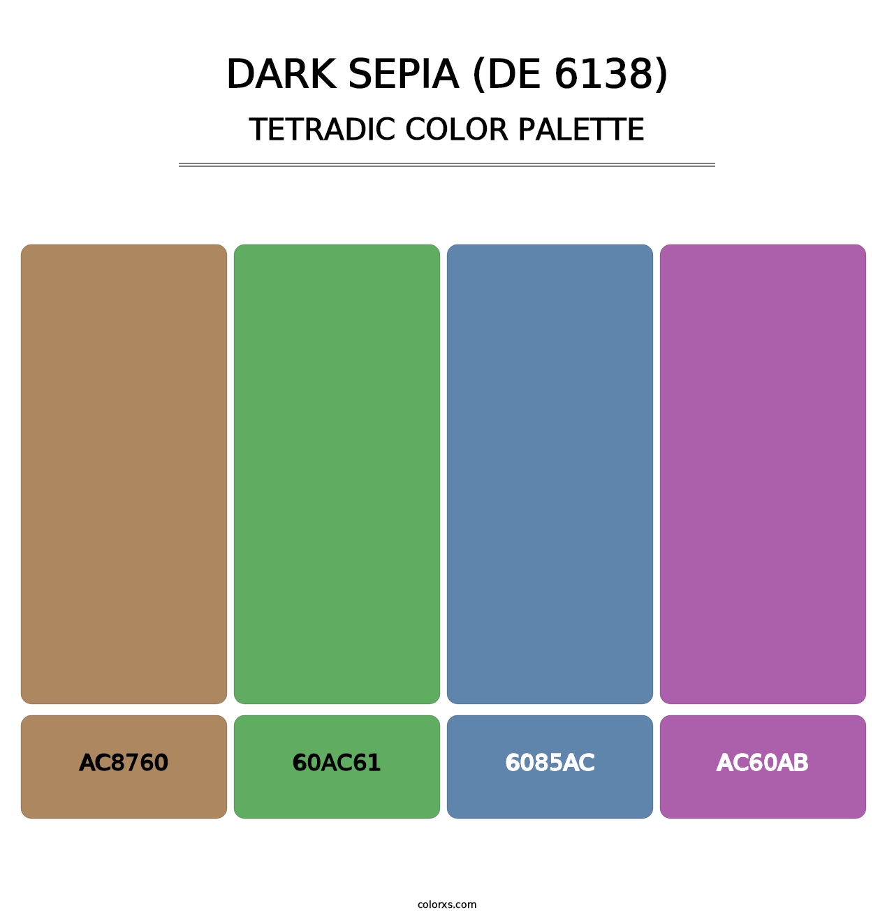 Dark Sepia (DE 6138) - Tetradic Color Palette