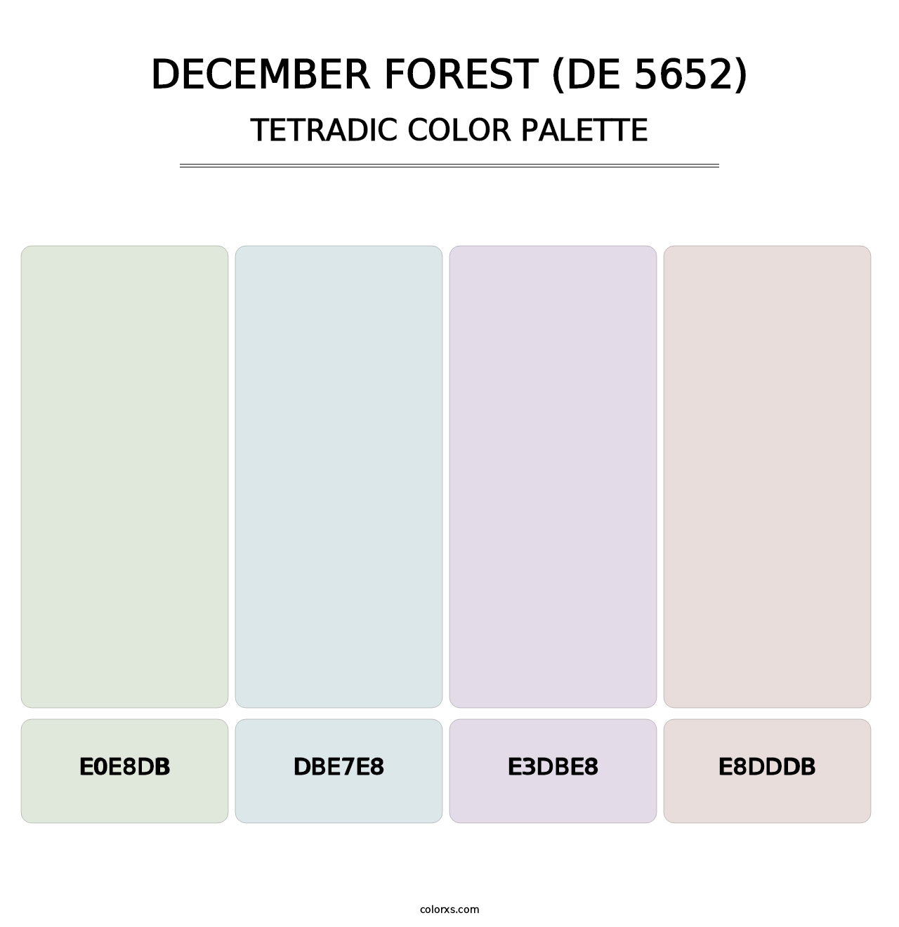 December Forest (DE 5652) - Tetradic Color Palette