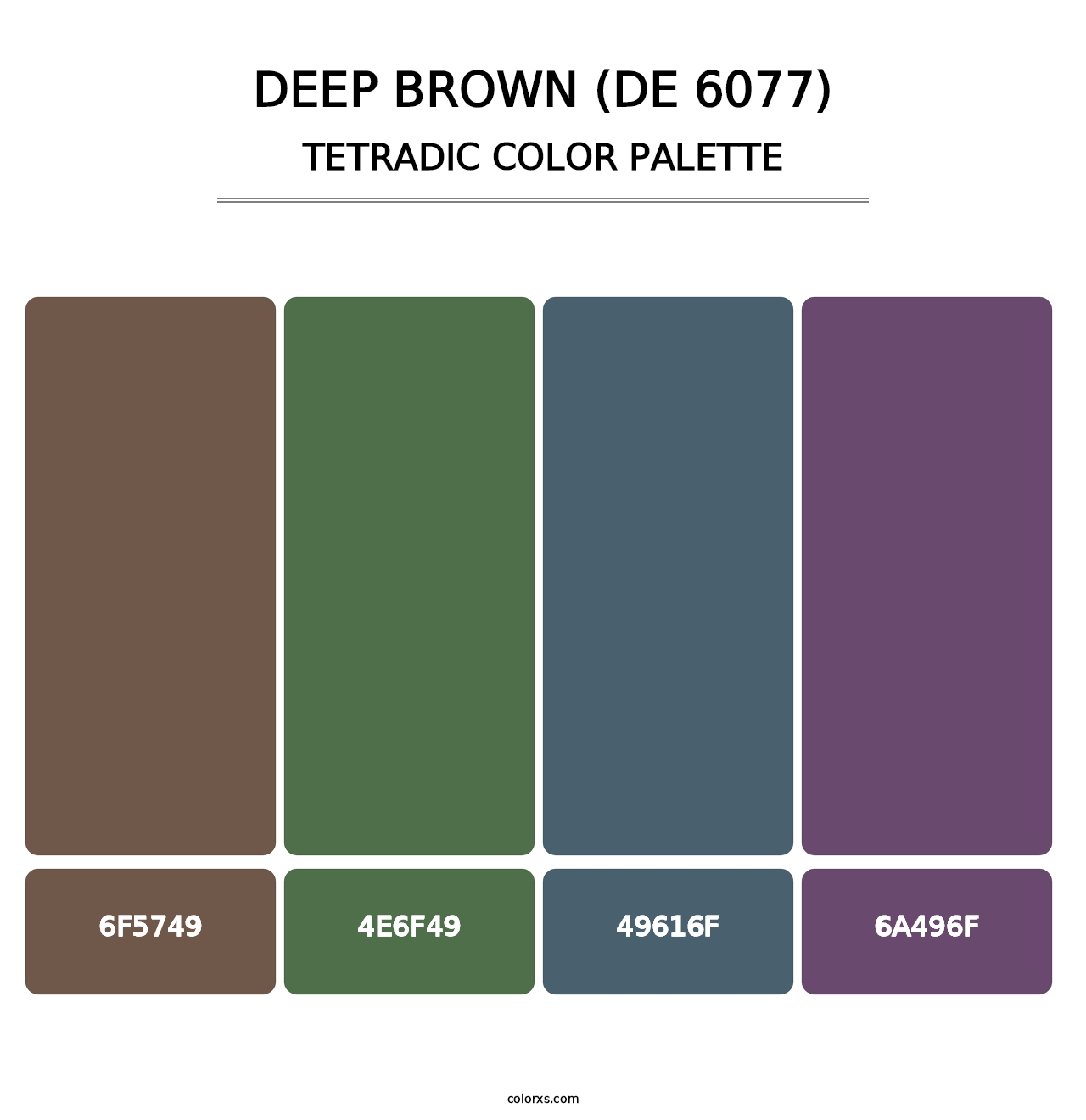 Deep Brown (DE 6077) - Tetradic Color Palette