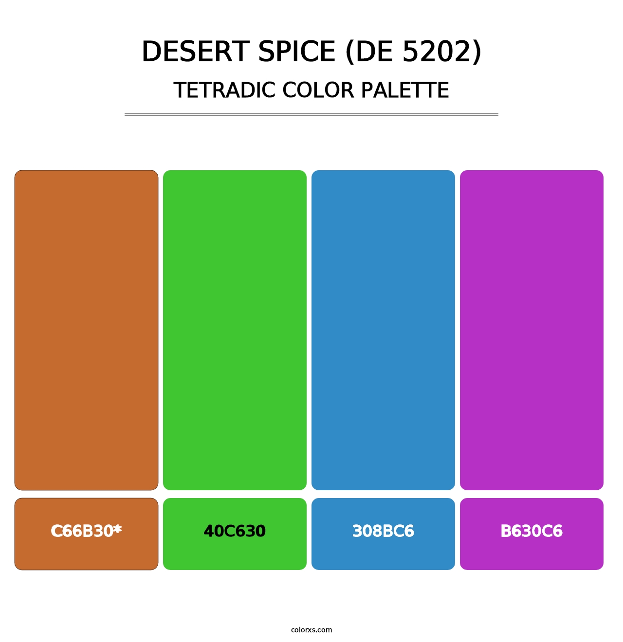 Desert Spice (DE 5202) - Tetradic Color Palette