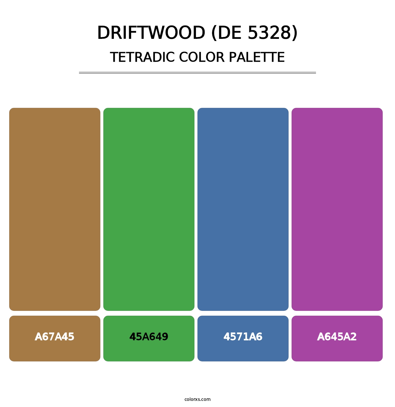 Driftwood (DE 5328) - Tetradic Color Palette