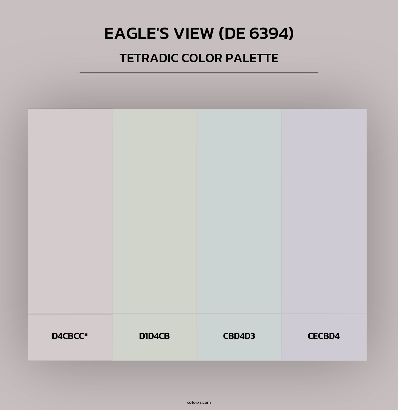 Eagle's View (DE 6394) - Tetradic Color Palette
