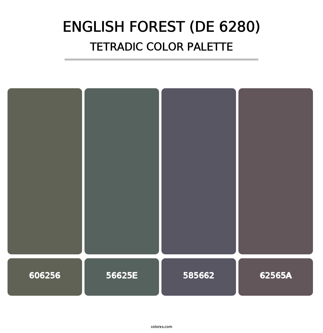 English Forest (DE 6280) - Tetradic Color Palette