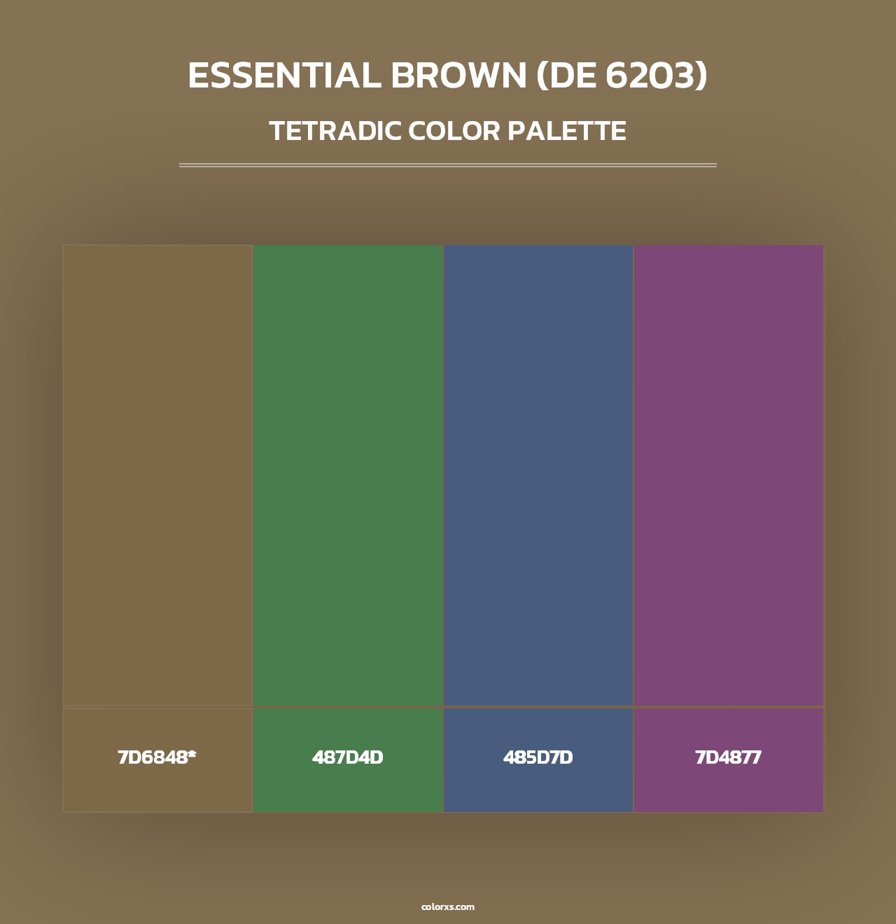 Essential Brown (DE 6203) - Tetradic Color Palette