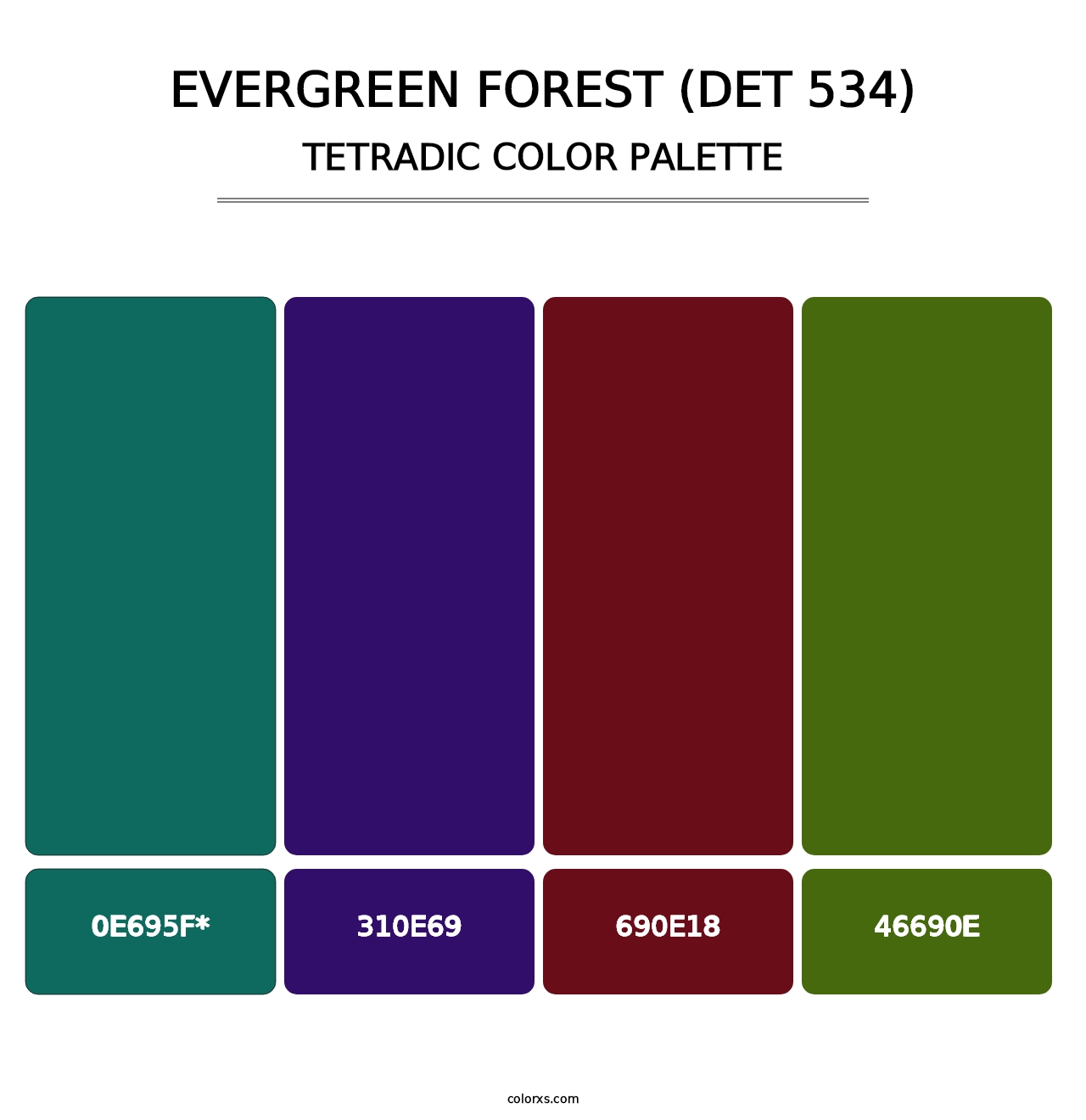 Evergreen Forest (DET 534) - Tetradic Color Palette