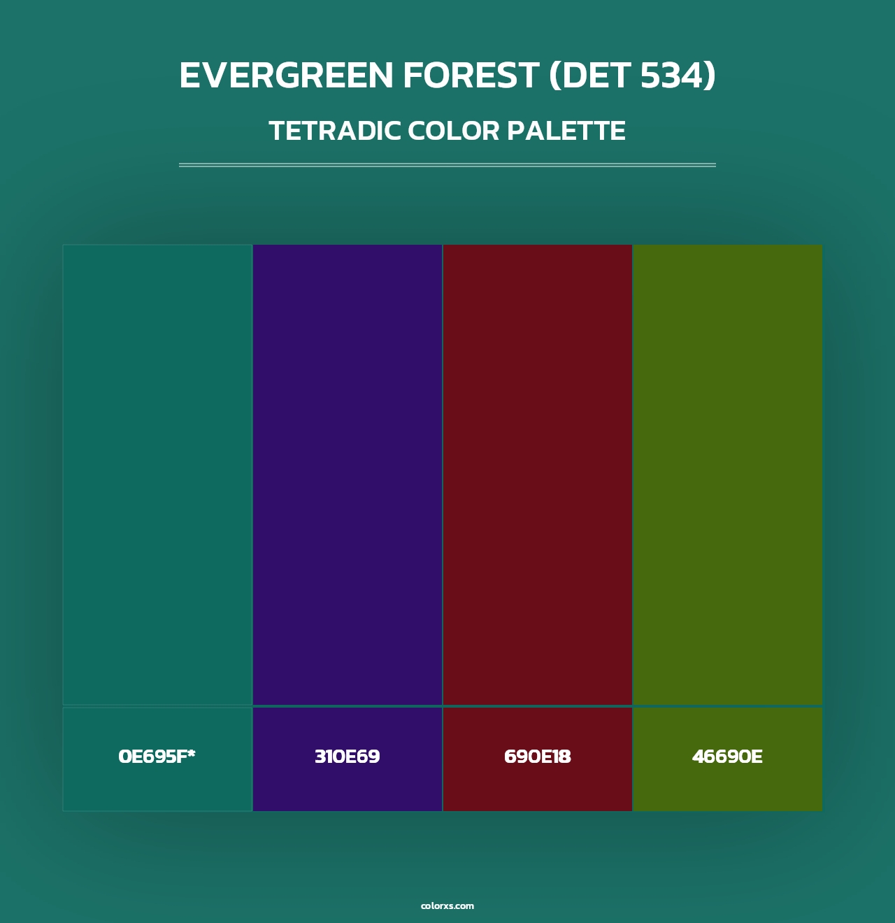 Evergreen Forest (DET 534) - Tetradic Color Palette