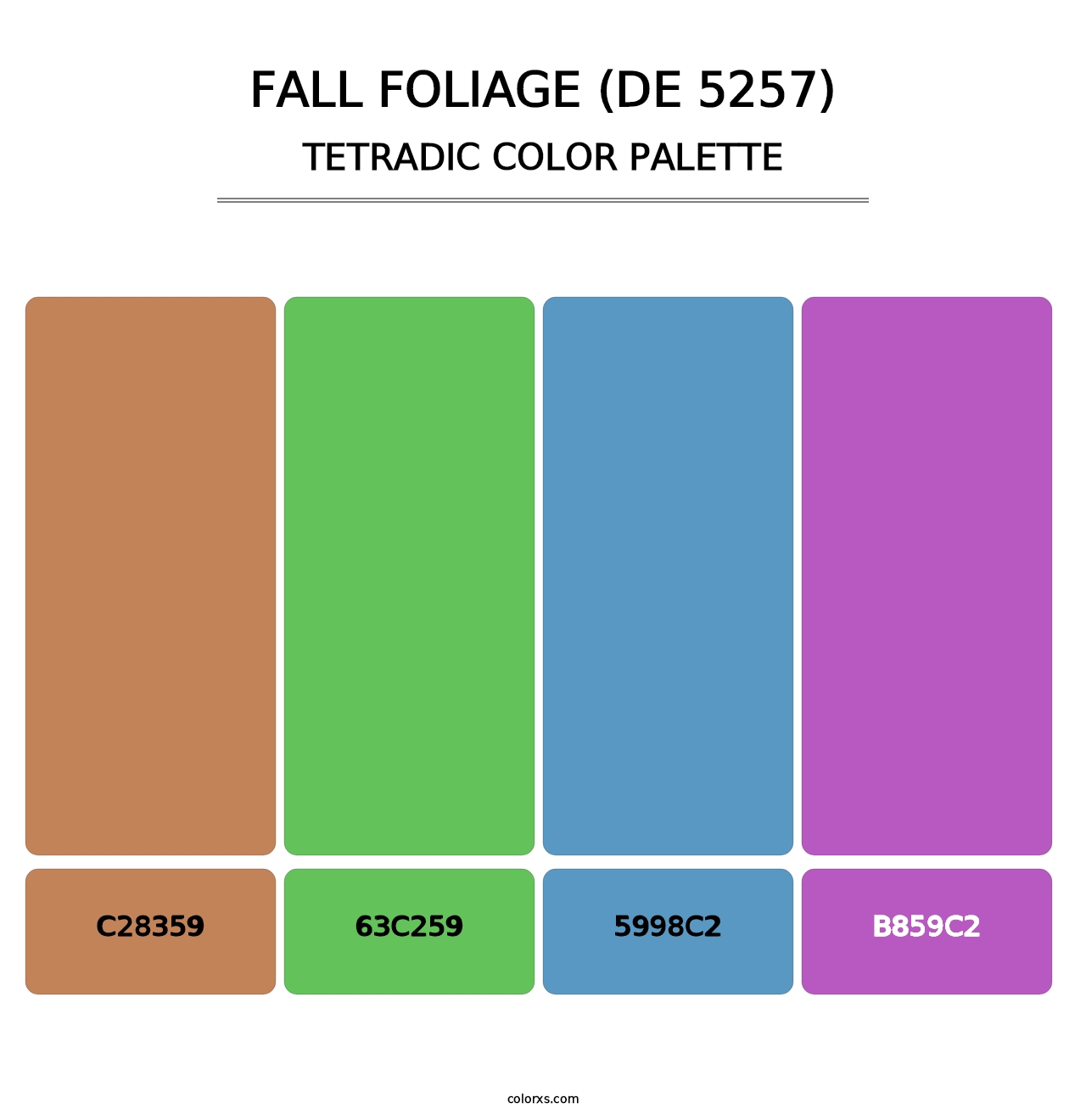 Fall Foliage (DE 5257) - Tetradic Color Palette
