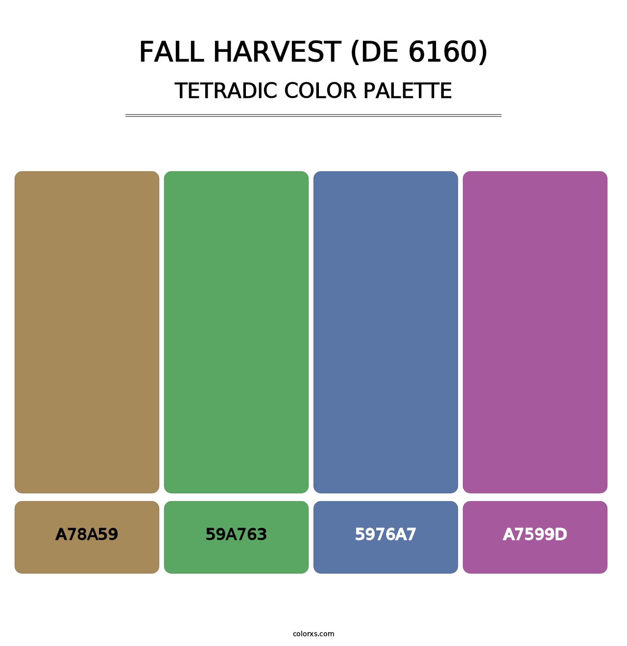 Fall Harvest (DE 6160) - Tetradic Color Palette