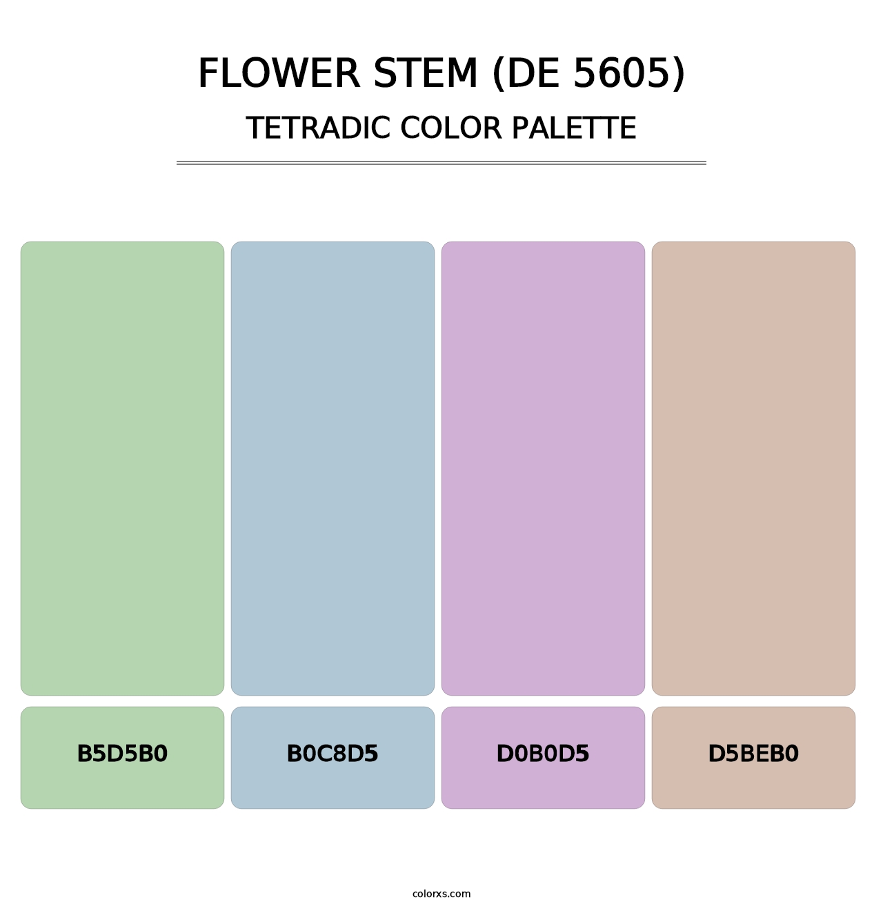 Flower Stem (DE 5605) - Tetradic Color Palette