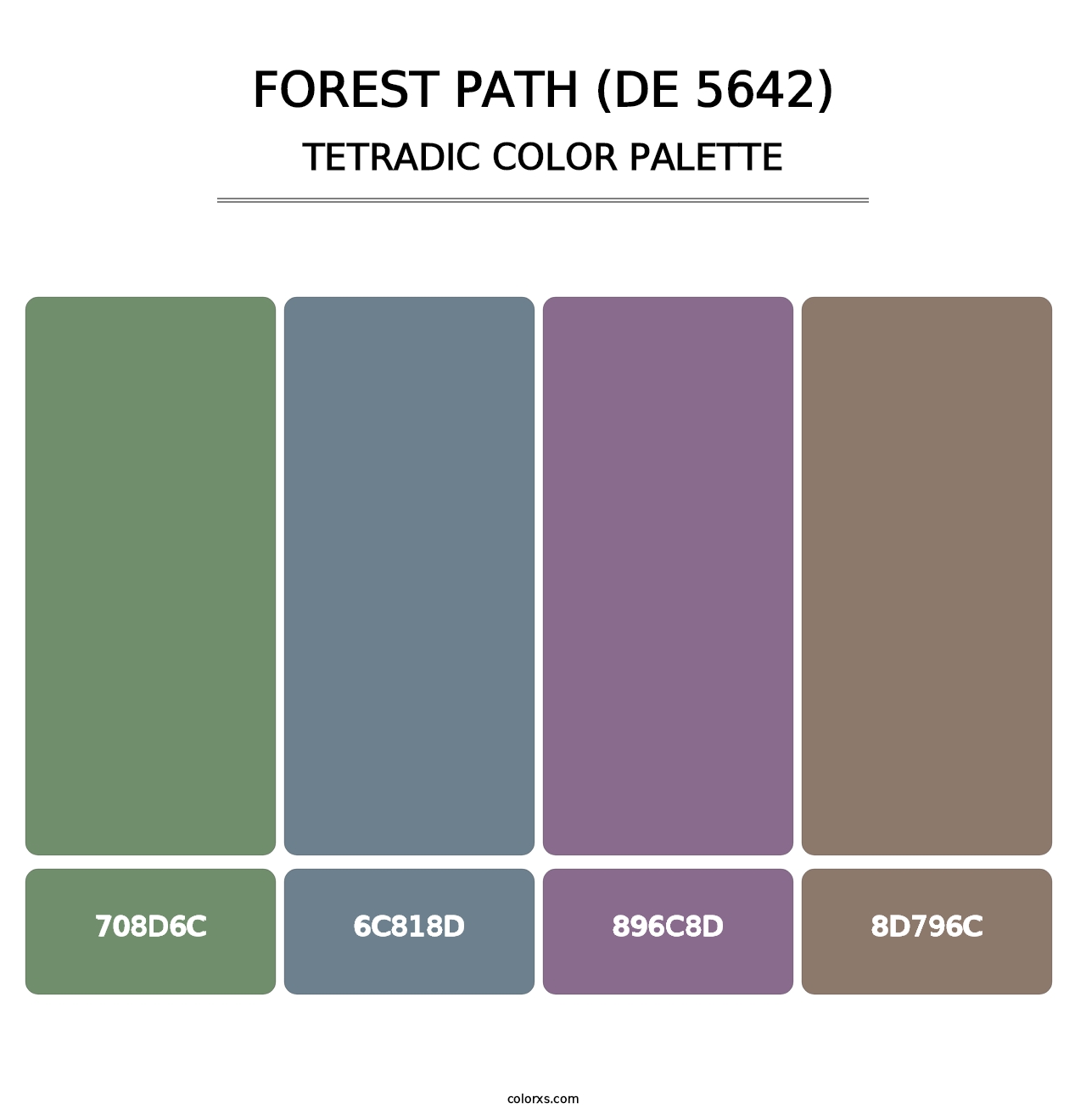 Forest Path (DE 5642) - Tetradic Color Palette