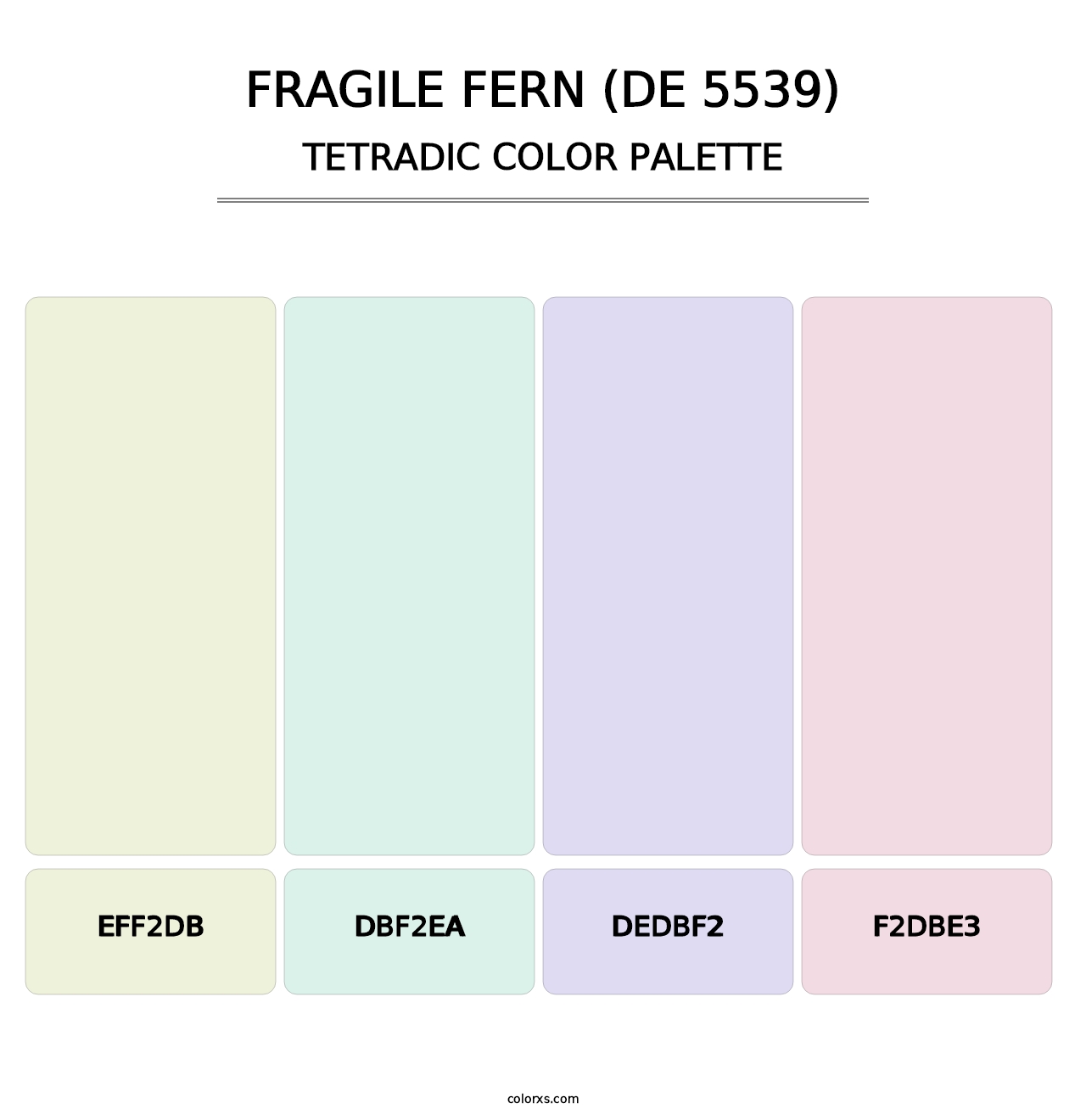 Fragile Fern (DE 5539) - Tetradic Color Palette