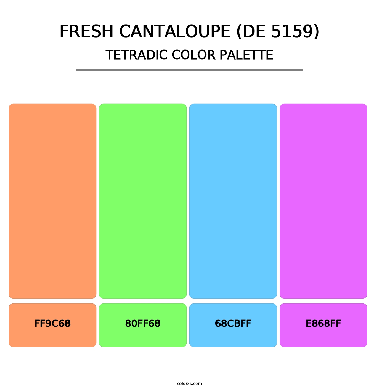 Fresh Cantaloupe (DE 5159) - Tetradic Color Palette