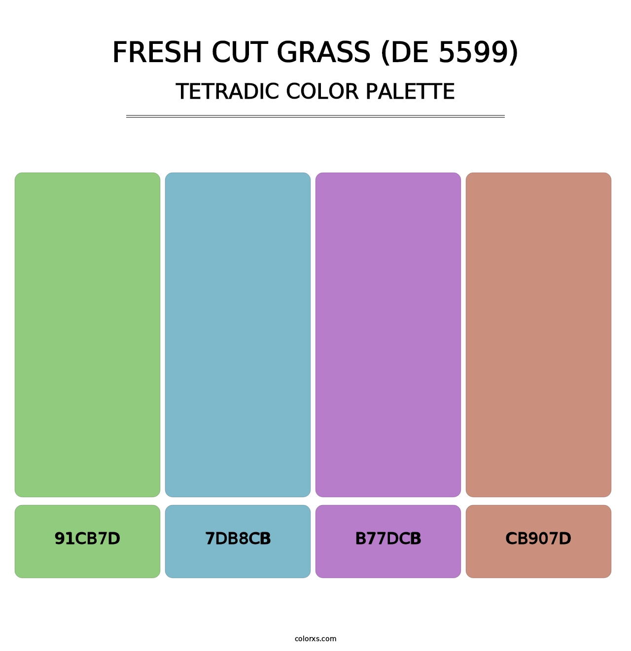 Fresh Cut Grass (DE 5599) - Tetradic Color Palette