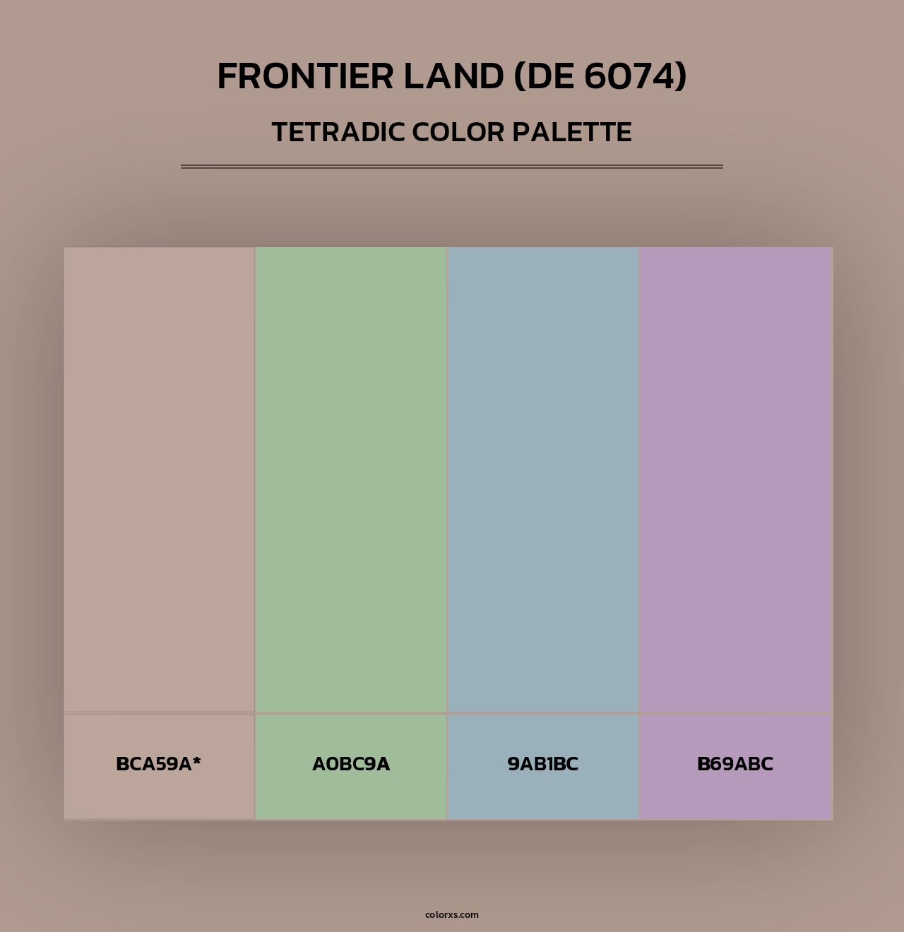 Frontier Land (DE 6074) - Tetradic Color Palette