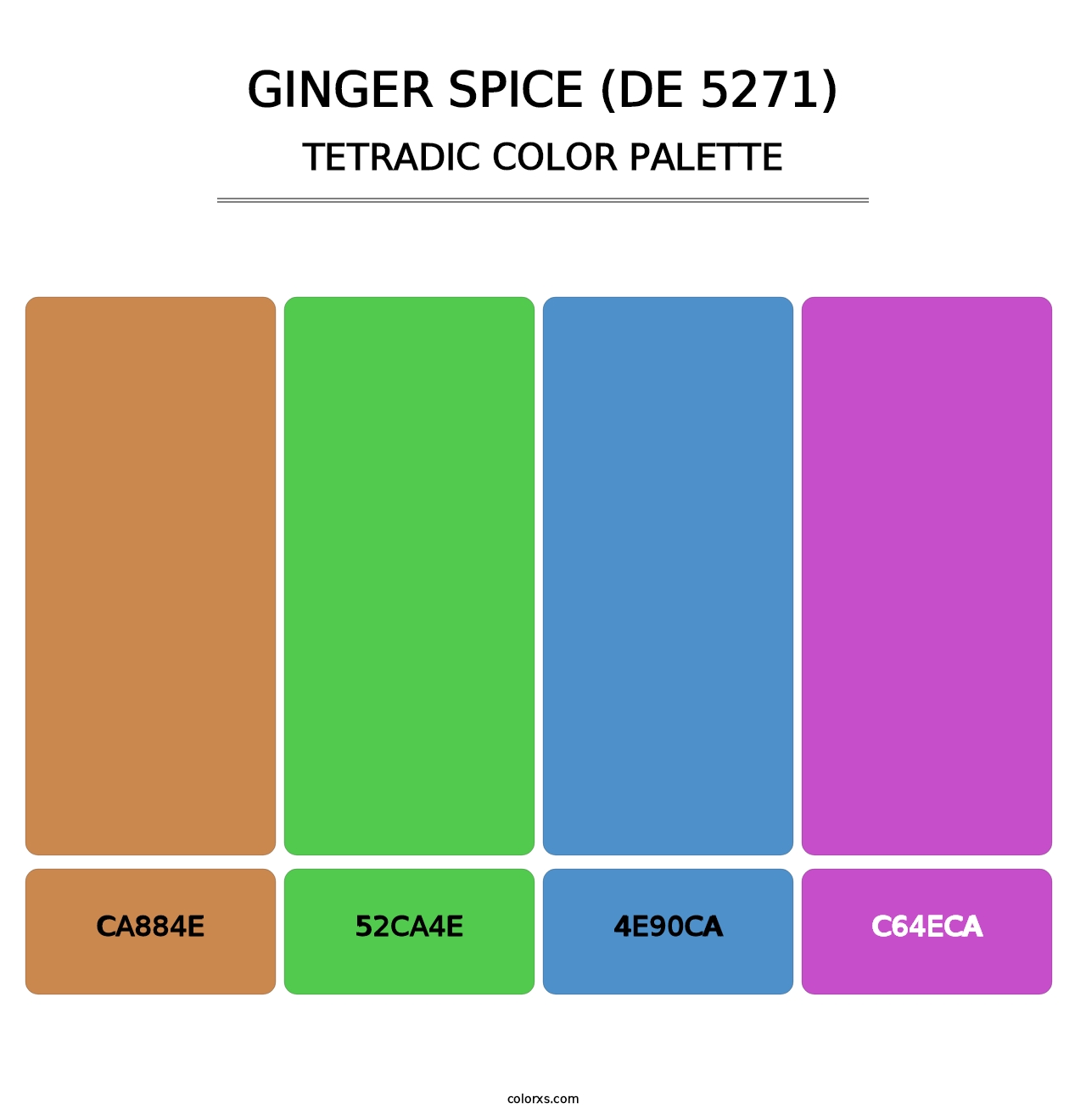 Ginger Spice (DE 5271) - Tetradic Color Palette