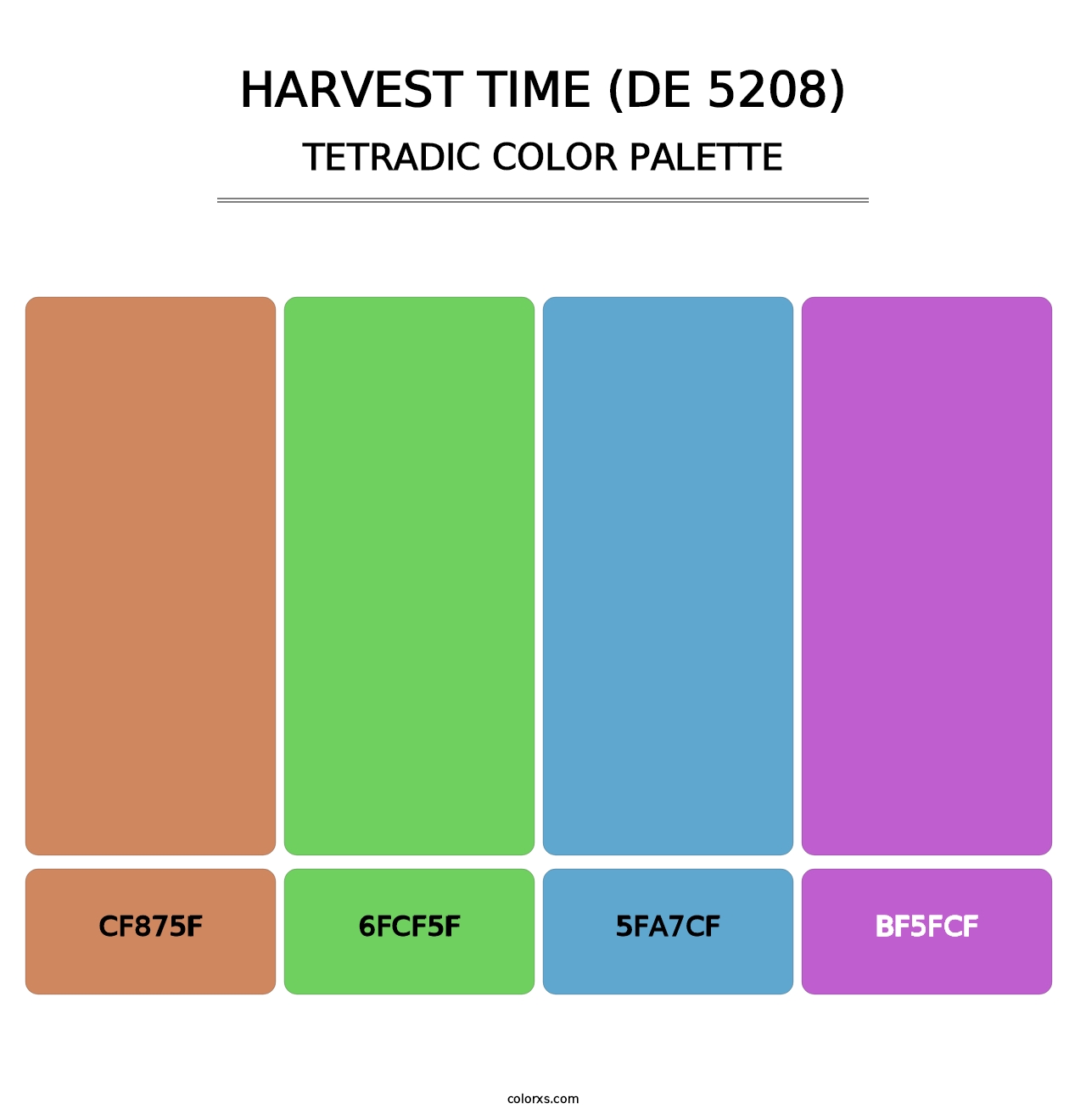 Harvest Time (DE 5208) - Tetradic Color Palette