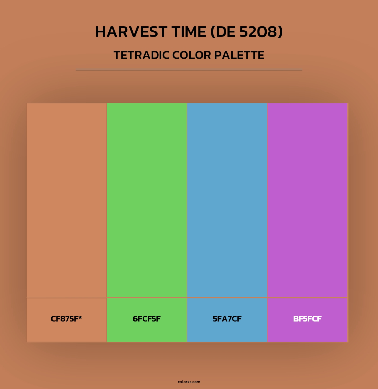 Harvest Time (DE 5208) - Tetradic Color Palette