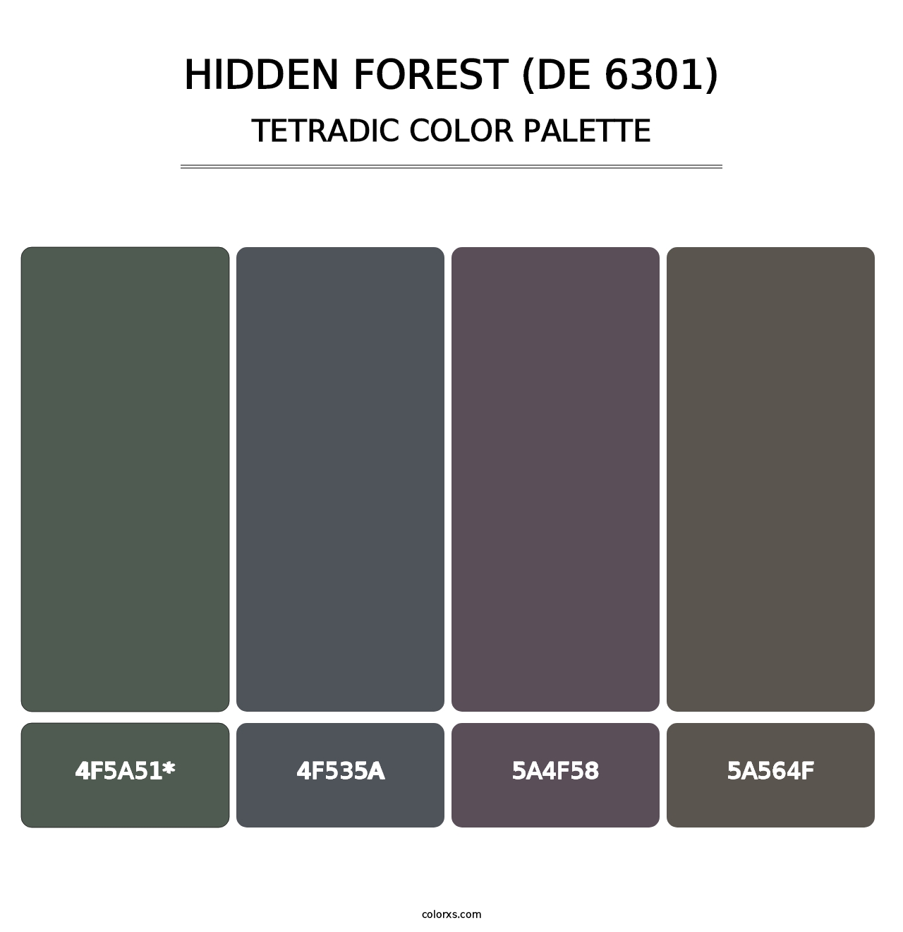 Hidden Forest (DE 6301) - Tetradic Color Palette