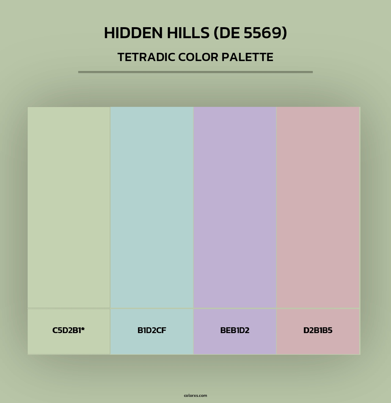 Hidden Hills (DE 5569) - Tetradic Color Palette