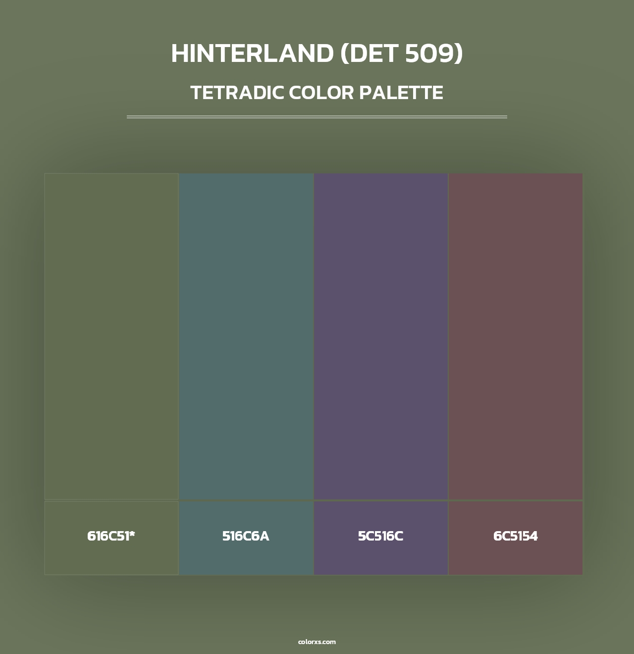 Hinterland (DET 509) - Tetradic Color Palette