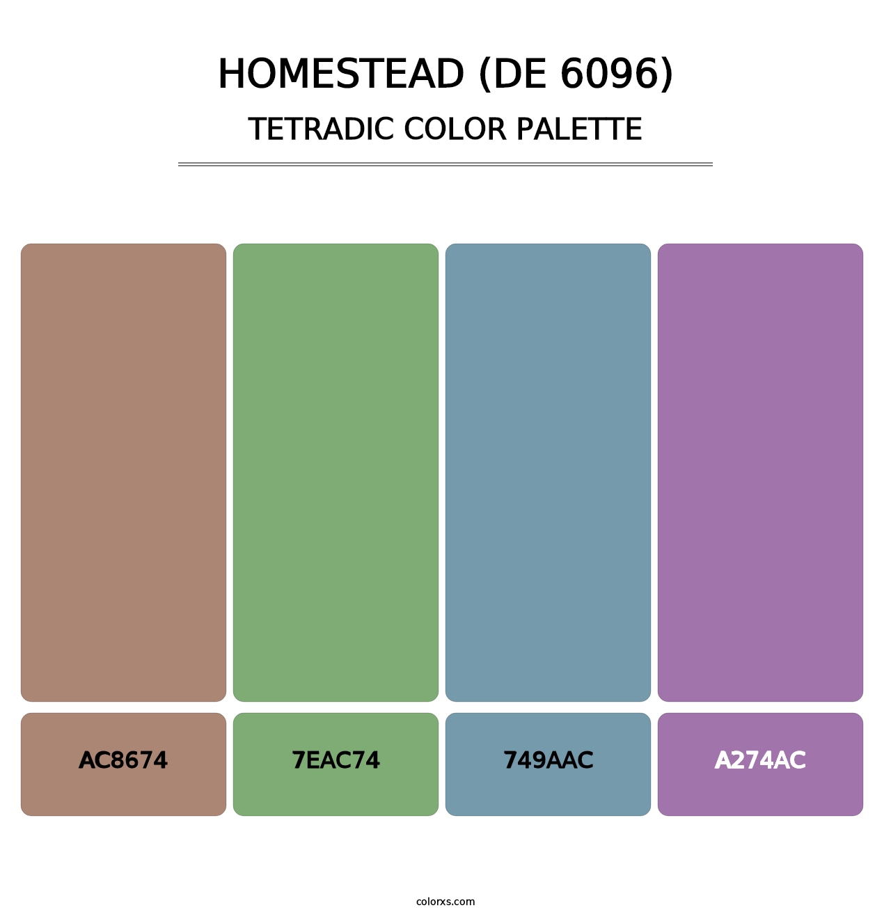 Homestead (DE 6096) - Tetradic Color Palette