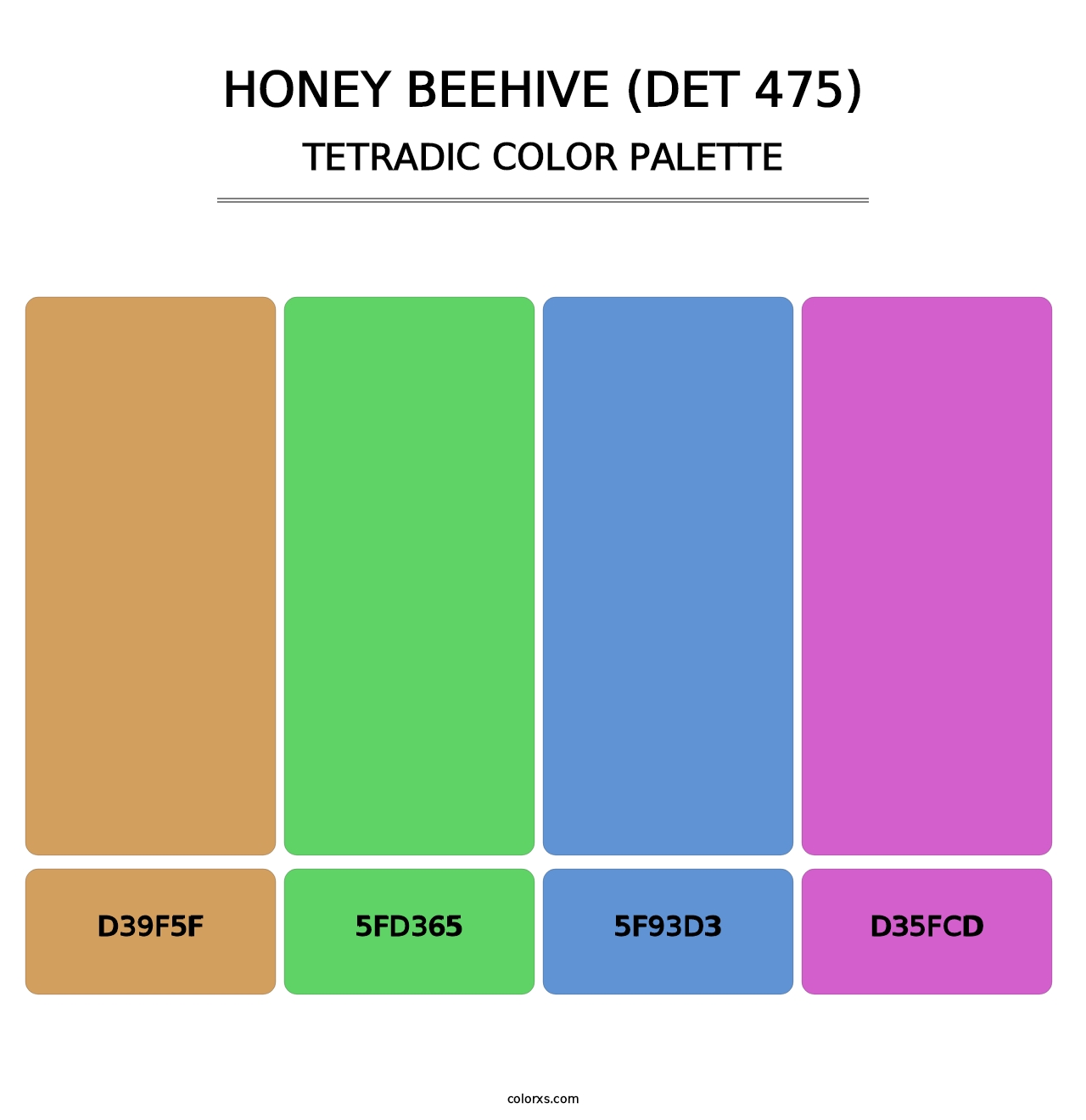 Honey Beehive (DET 475) - Tetradic Color Palette