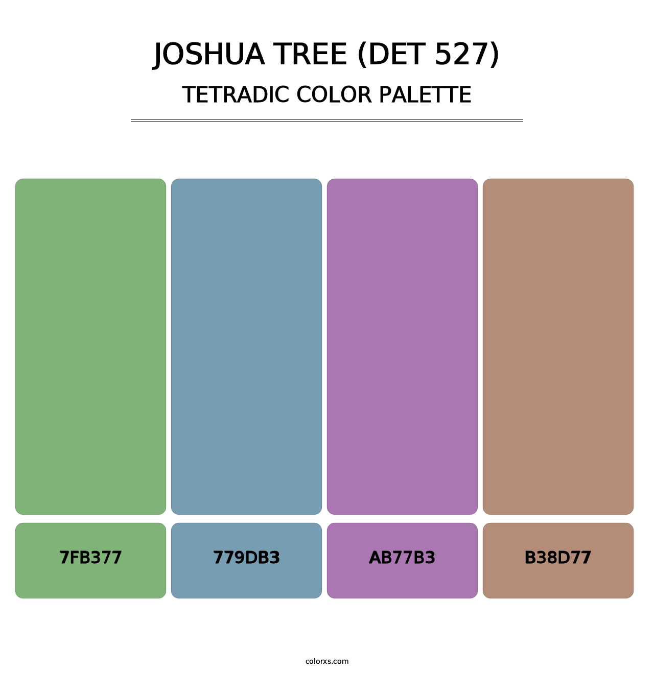 Joshua Tree (DET 527) - Tetradic Color Palette