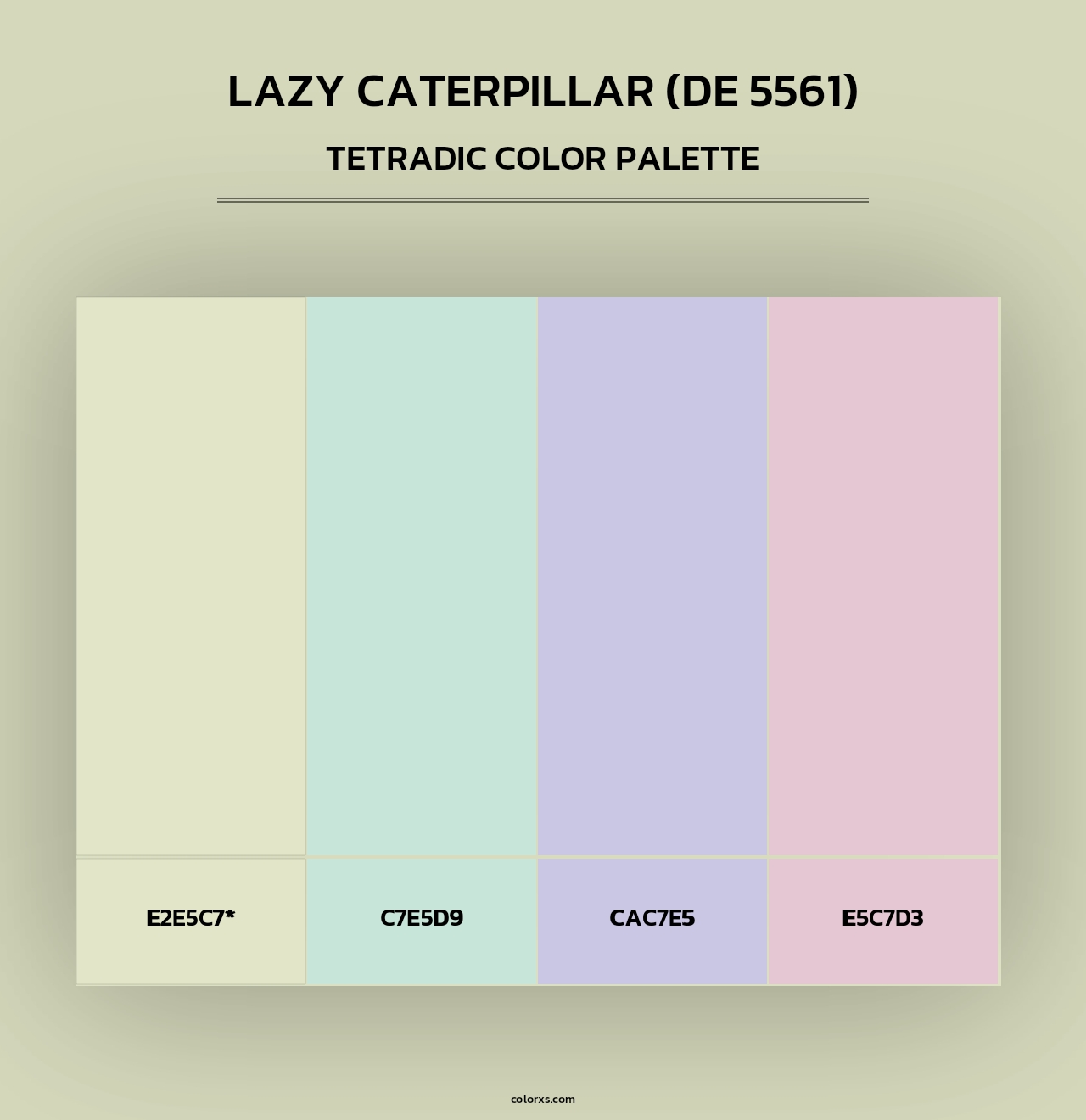 Lazy Caterpillar (DE 5561) - Tetradic Color Palette