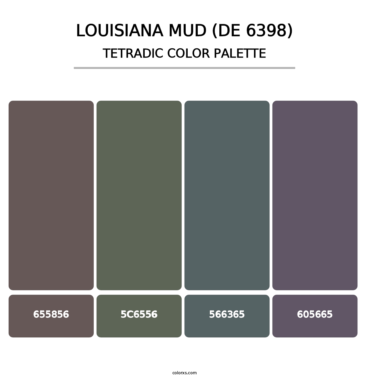 Louisiana Mud (DE 6398) - Tetradic Color Palette
