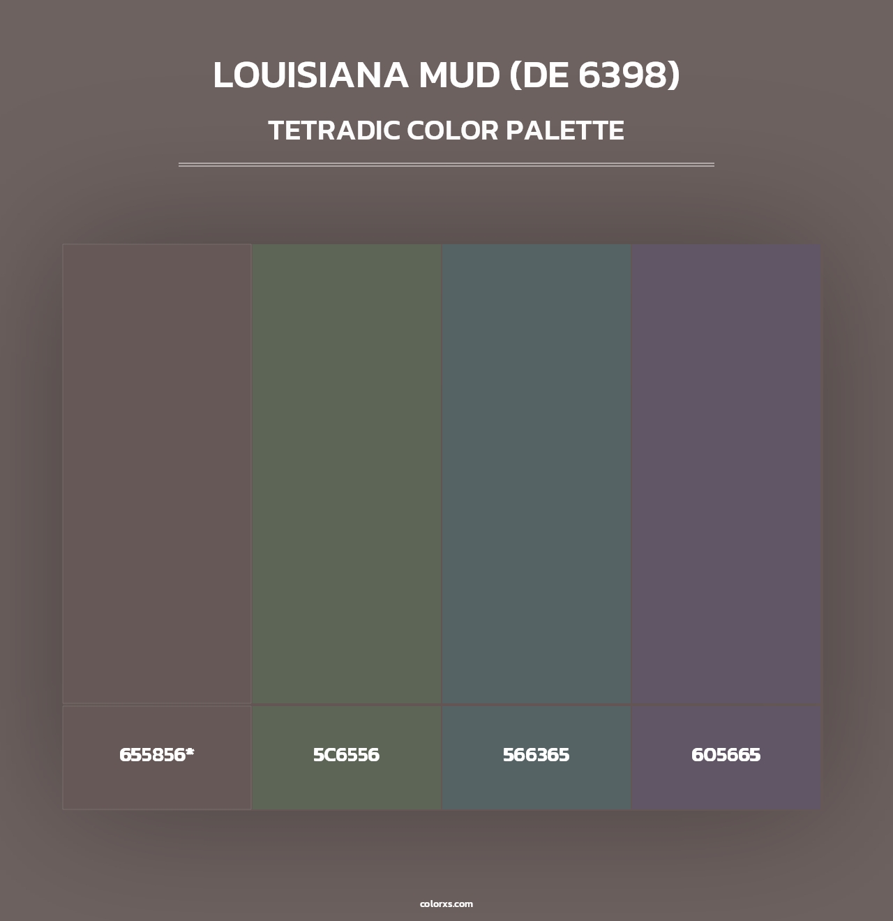 Louisiana Mud (DE 6398) - Tetradic Color Palette