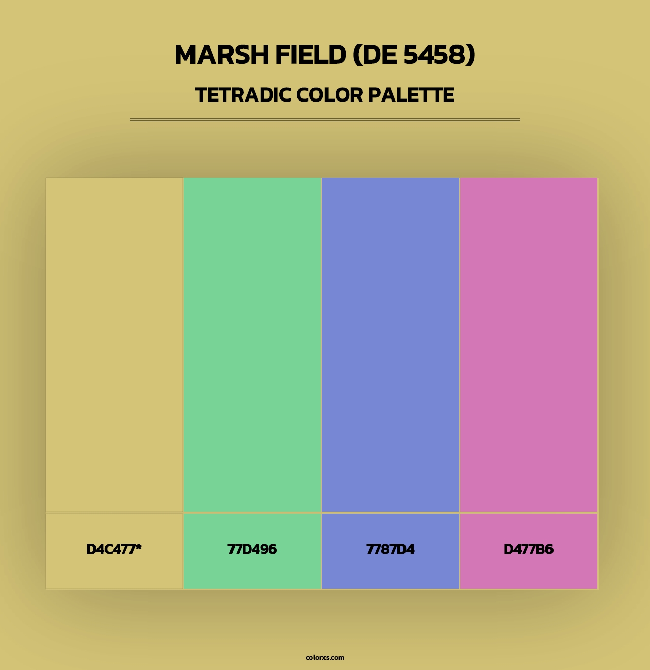 Marsh Field (DE 5458) - Tetradic Color Palette