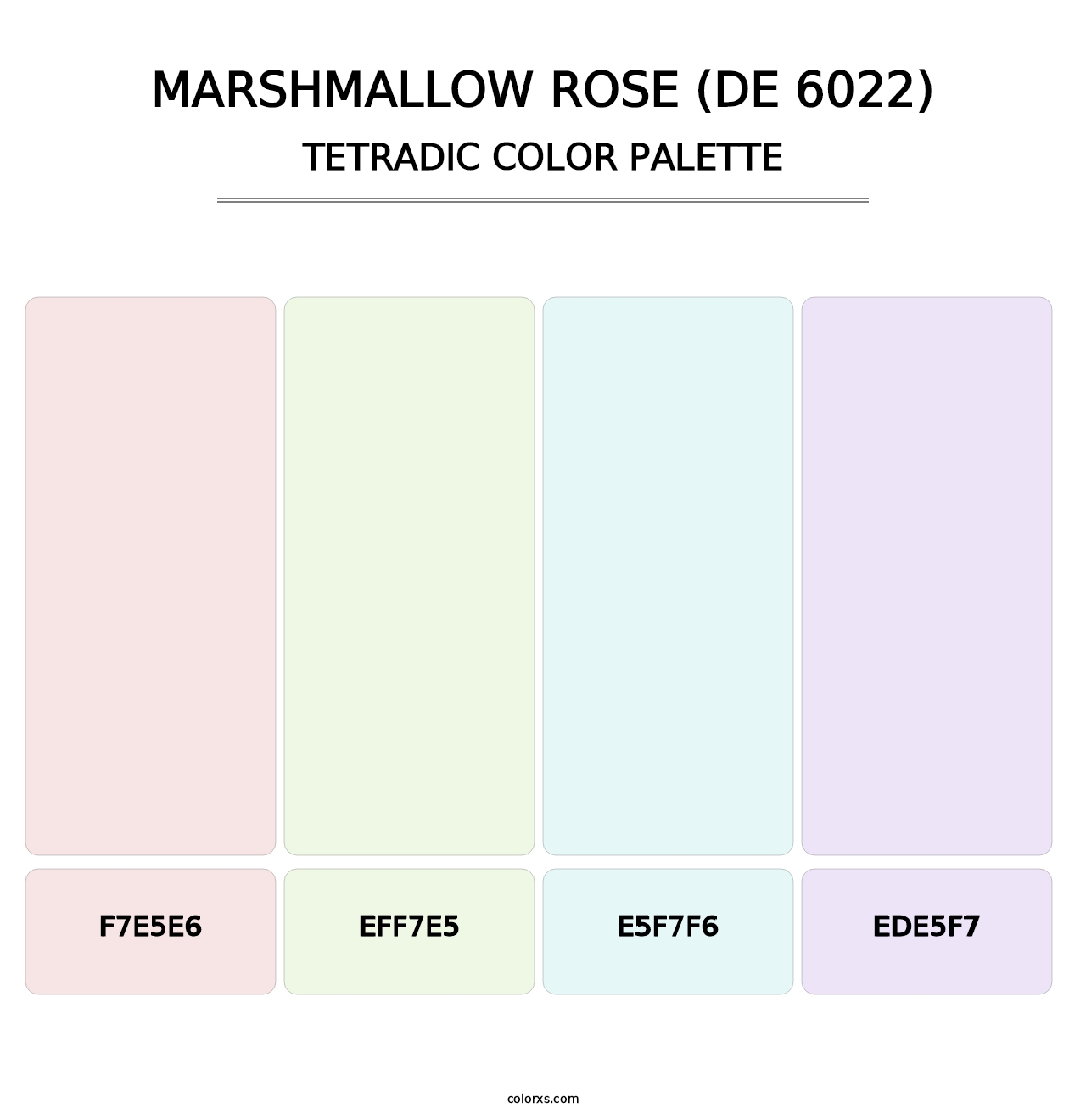 Marshmallow Rose (DE 6022) - Tetradic Color Palette