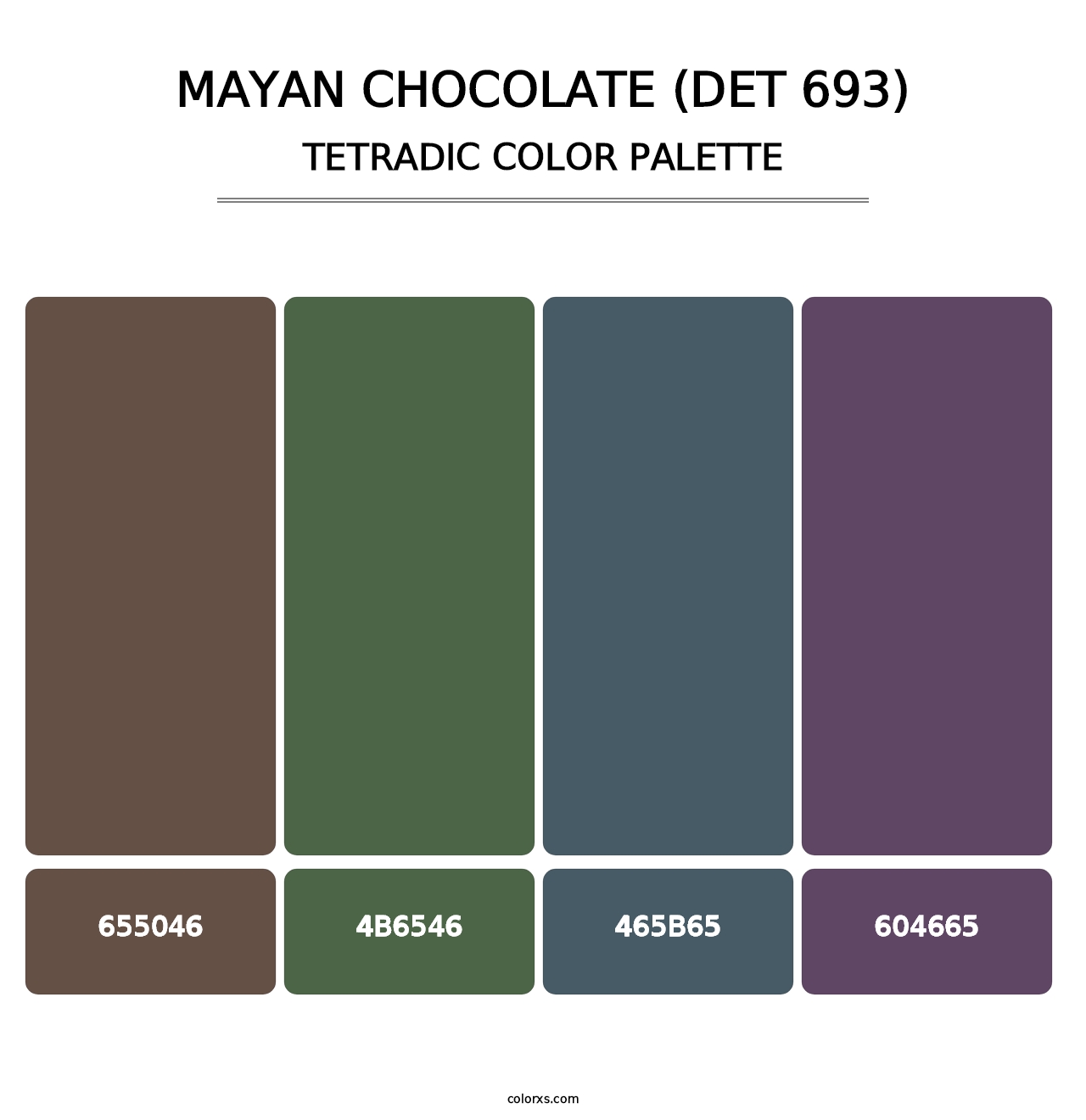 Mayan Chocolate (DET 693) - Tetradic Color Palette