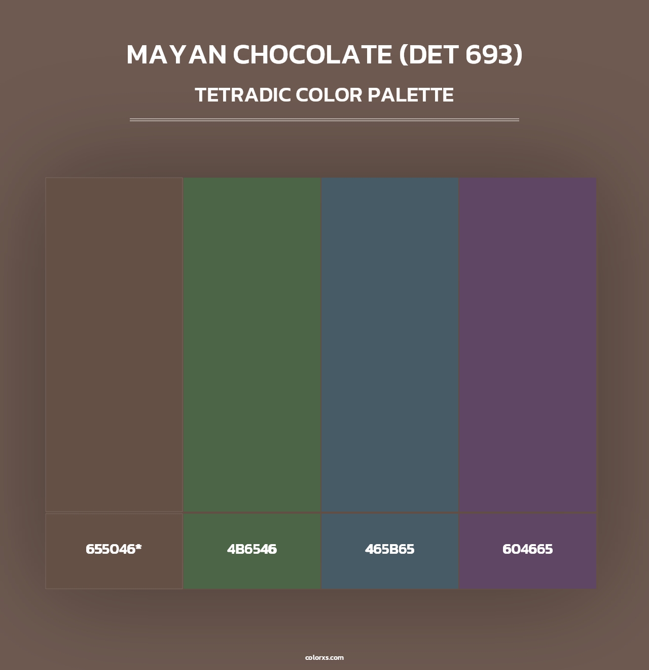 Mayan Chocolate (DET 693) - Tetradic Color Palette