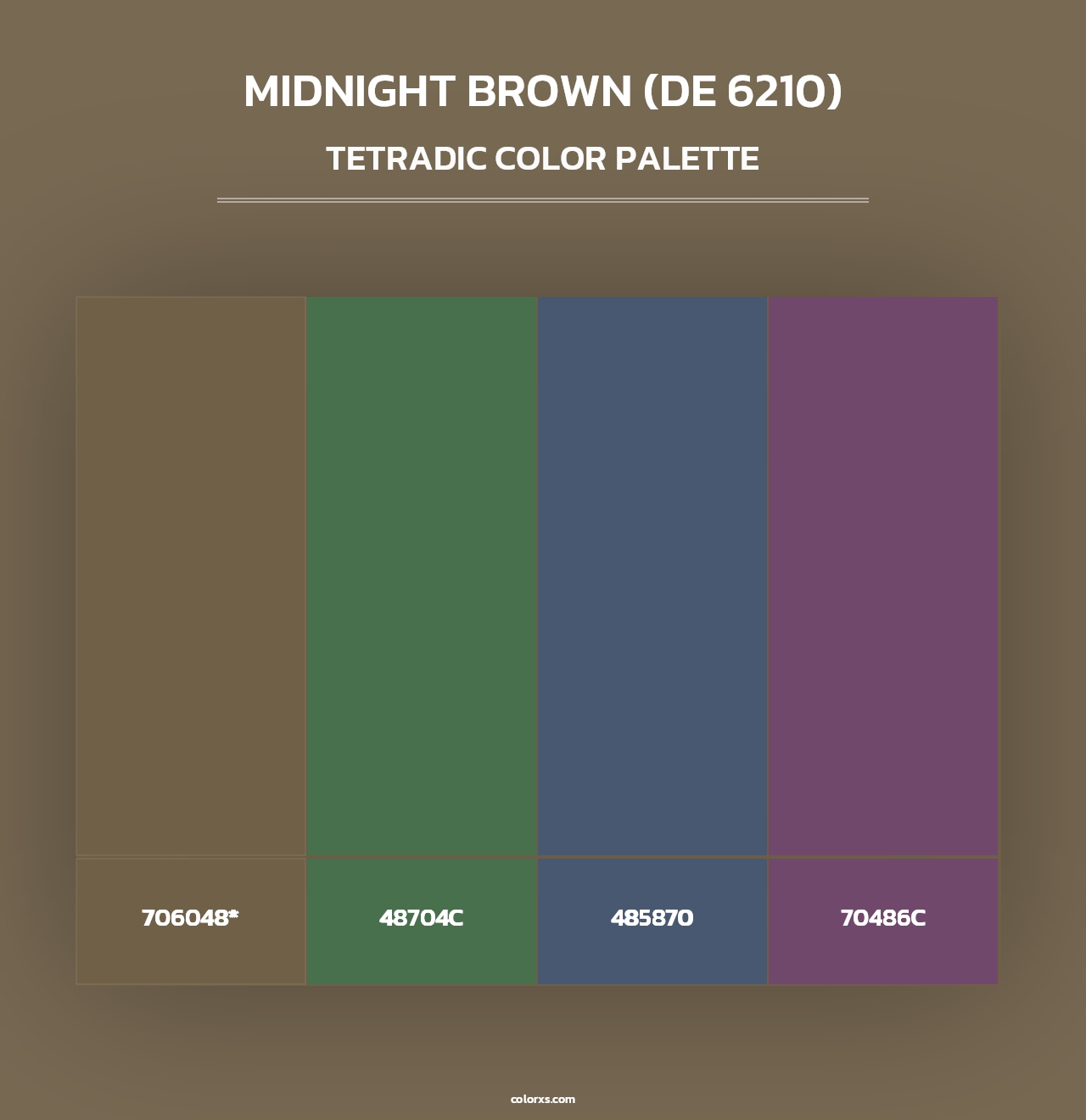 Midnight Brown (DE 6210) - Tetradic Color Palette